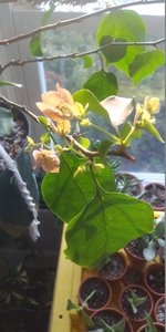 20201210_074502_resized.jpg