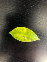 thumbnail_IMG_8336.jpg