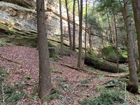 IMG_3229.jpg