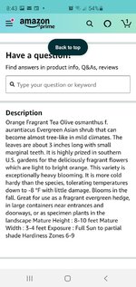 Screenshot_20201218-084347_Amazon Shopping.jpg