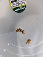 PXL_20201222_140236165.jpg