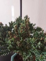 20201224_142541.jpg 20201224_142541.jpg