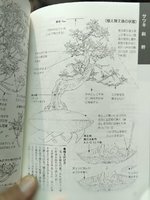 IMG_20201226_075540_resize_24.jpg