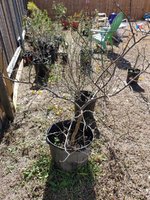 20201227_130127.jpg