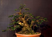 20200314-R14A3196-137.jpg