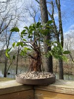 24220F04-0CF1-4E91-A5A1-DC20BCDD3583.jpeg 24220F04-0CF1-4E91-A5A1-DC20BCDD3583.jpeg