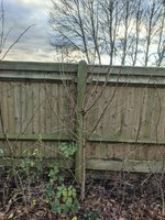 PXL_20201224_142728305.jpg