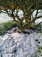 IMG_20210107_111707.jpg