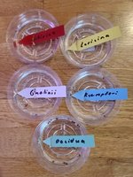 20210115_154035.jpg