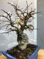 IMG_3224.jpg