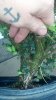 IMG_20130925_154732_938.jpg