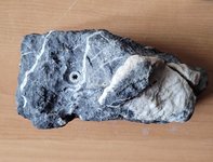 ishizuki2.jpg ishizuki2.jpg