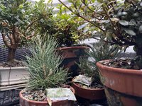 82B489D1-271D-40B7-9951-50146EBDAE23.jpeg