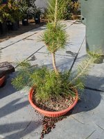 PXL_20210207_230108574.jpg