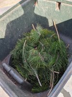 PXL_20210207_230053278.jpg