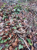 20210207_152428.jpg 20210207_152428.jpg