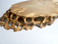 root stand  2020 01 08_0002_Layer 9.jpg