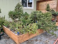 22BF5C19-DB13-47C0-A723-22DE780805FB.jpeg 22BF5C19-DB13-47C0-A723-22DE780805FB.jpeg