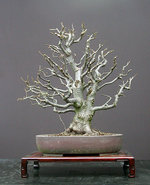 2004-03-Dscn7683v.jpg
