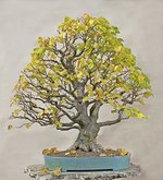 2010-09-PSC_0773ofv.jpg