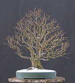 2010-11-QDSC_0321DNGofv.jpg