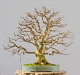 2016-11-SAL_7123ofw.jpg