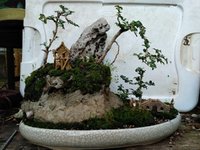 IMG_20210223_180643611.jpg