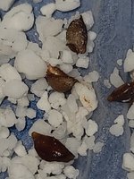 20210228_151254.jpg