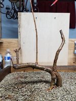 20210228_184941.jpg 20210228_184941.jpg