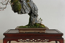 IMG_7712.jpg IMG_7712.jpg