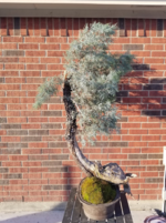 1614956207661.png