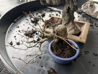 IMG_5090.jpg IMG_5090.jpg