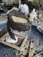 IMG_5096.jpg IMG_5096.jpg