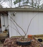 DSC04902-1.jpg