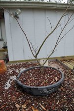 DSC04916-1.jpg