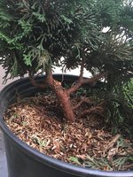 4763C08B-067D-46BE-8844-FAC9837668BD.jpeg