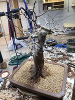 20210310_164729.jpg