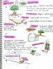 LDA50_notes.jpg