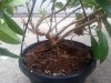 20131003_121600.jpg