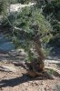DSC_2106.jpg