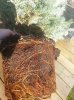20131013_153704.jpg