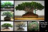 2007-2013 progression.jpg 2007-2013 progression.jpg