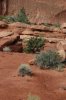 DSC_2166.jpg