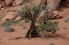 DSC_2163.jpg