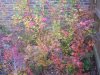 Japanese Maples Bed 09 (1).jpg