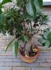 DSC02755.jpg