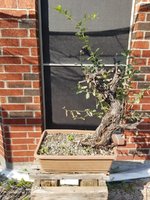 20191003_152655.jpg 20191003_152655.jpg