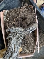 IMG_6148.JPG IMG_6148.JPG