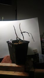 DSC_0159.JPG DSC_0159.JPG