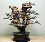 dave-creek-bonsai-treehouses-7.jpg